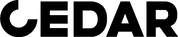Advertisement video production for Cedar HK
